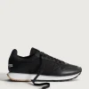 HOFF Track & Field*TANAGRA